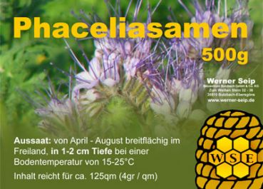 Phacelia - die optimale Bienenweide