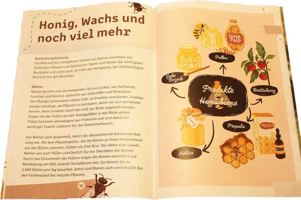 Honigbienen und ihre wilden Verwandten..